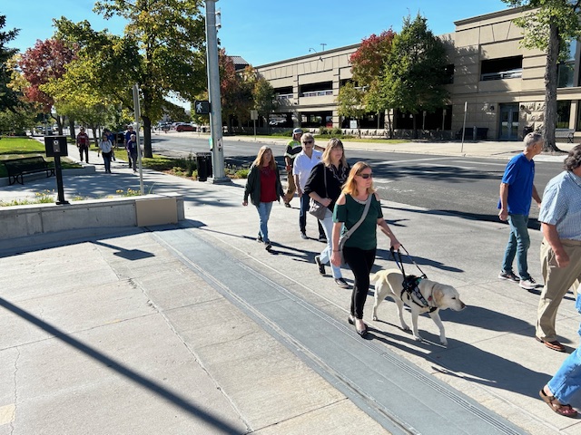 group walking with canes and guide dogs